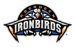 Aberdeen IronBirds Logo