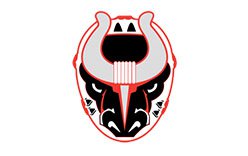 Birmingham Bulls Logo