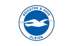 Brighton & Hove Albion Logo