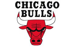 Chicago Bulls Logo