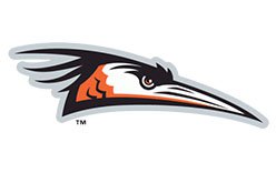 Delmarva Shorebirds Logo