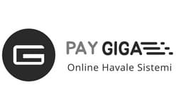 Pay Giga Logo