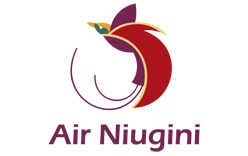Air Niugini Logo