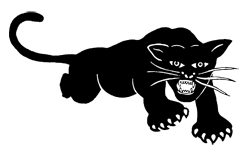Black Panther Party Logo