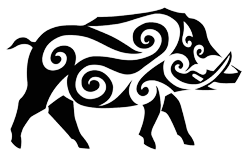 The Boar Meaning