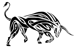 The Bull Meaning