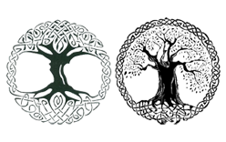 Celtic Tree of Life Meaning