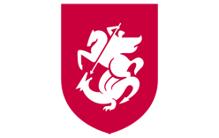 Georgia National Football Team Logo