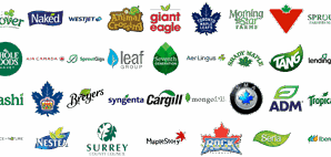 Most Famous Logos With a Leaf